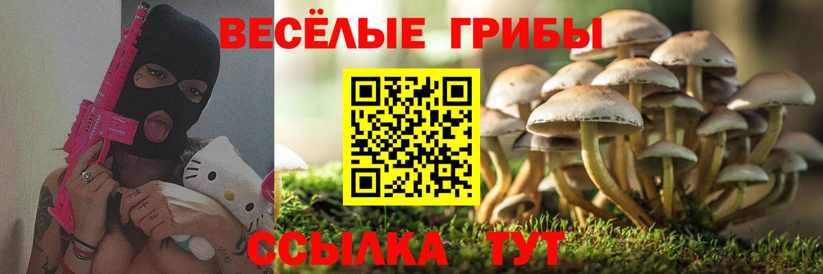 где купить наркоту  Псилоцибиновые грибы GOLDEN TEACHER  Вход с VPN  Обь 